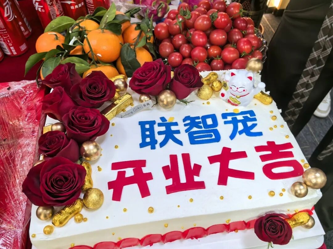 董事长致宠智联全体同仁、合作伙伴及关注者的2026新春祝福与战略规划,开工大吉